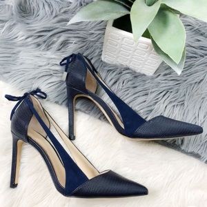 Zara Pointed Toe Heels